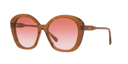 Chloé CH0081S Brown S