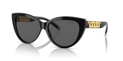 Tiffany & Co. TF4196 Black M