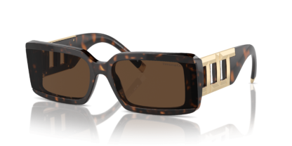 Tiffany & Co. TF4197 Havana S