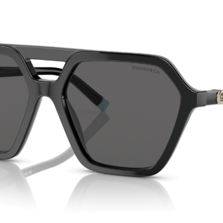 Tiffany & Co. TF4198 Black L