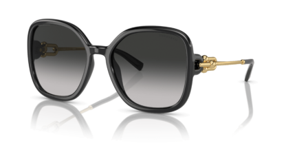 Tiffany & Co. TF4202U Black XL