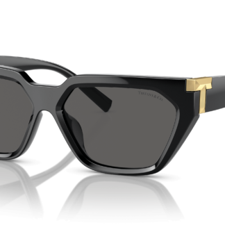 Tiffany & Co. TF4205U Black S