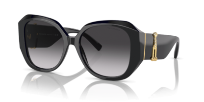 Tiffany & Co. TF4207B Black L