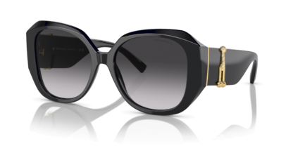 Tiffany & Co. TF4207BF Black L