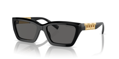 Tiffany & Co. TF4213 Black S
