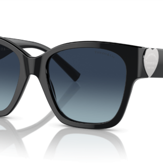 Tiffany & Co. TF4216 Black XL