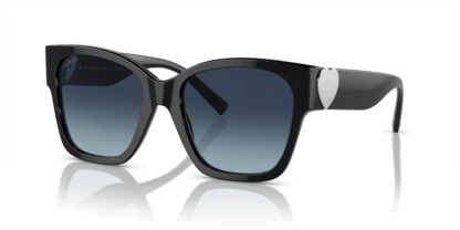 Tiffany & Co. TF4216 Black XL