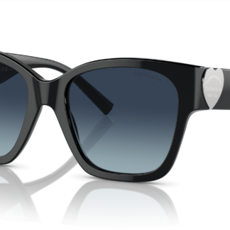 Tiffany & Co. TF4216F Black XL
