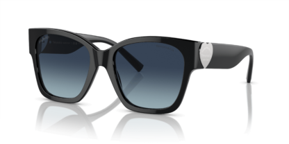 Tiffany & Co. TF4216F Black XL