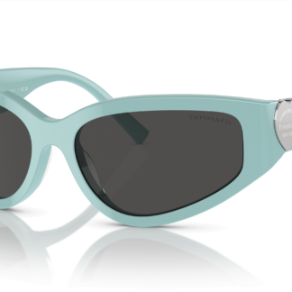 Tiffany & Co. TF4217 Tiffany Blue L